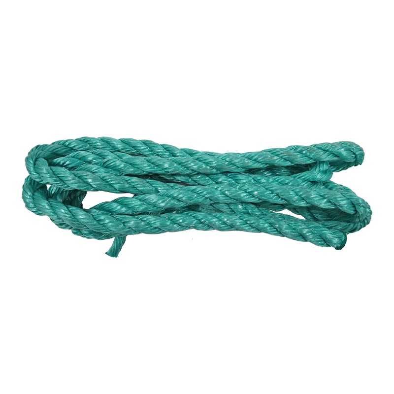 longe-verte.jpg