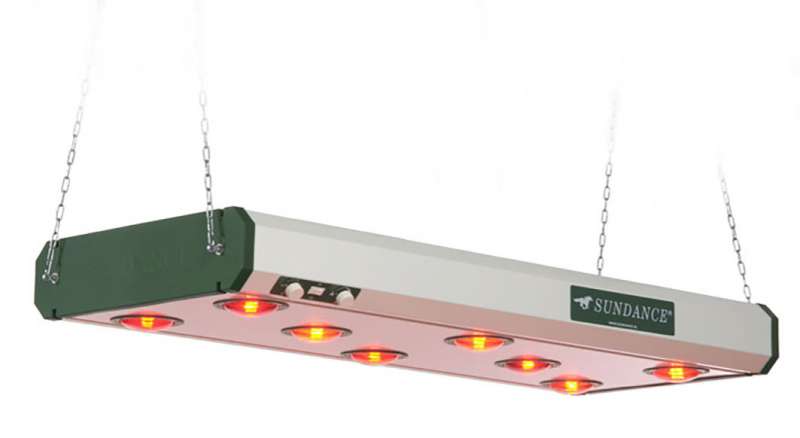 solarium-pour-chevaux-8-lampes-quinconce-sans-fixation.jpg